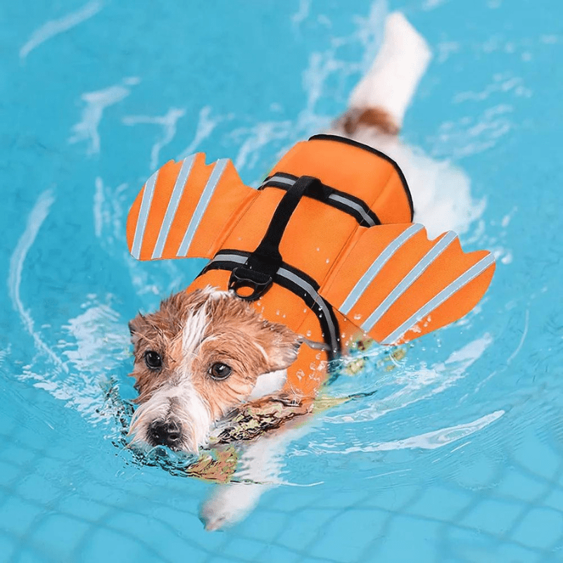 https://cdn.shopify.com/s/files/1/0763/9767/4819/files/Gilet_de_sauvetage_rigolo_pour_chien_Rose_jack_russel.png?v=1753792954