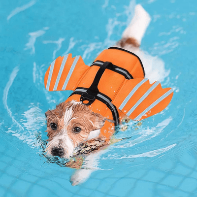 https://cdn.shopify.com/s/files/1/0763/9767/4819/files/Gilet_de_sauvetage_rigolo_pour_chien_Rose_jack_russel.png?v=1753792954