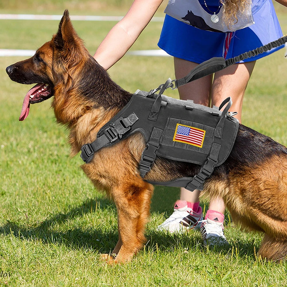 Gilet militaire pour chien - Gros-Chien.com