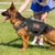 Gilet militaire pour chien - Gros-Chien.com