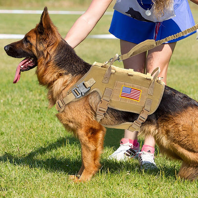 Gilet militaire pour chien - Gros-Chien.com