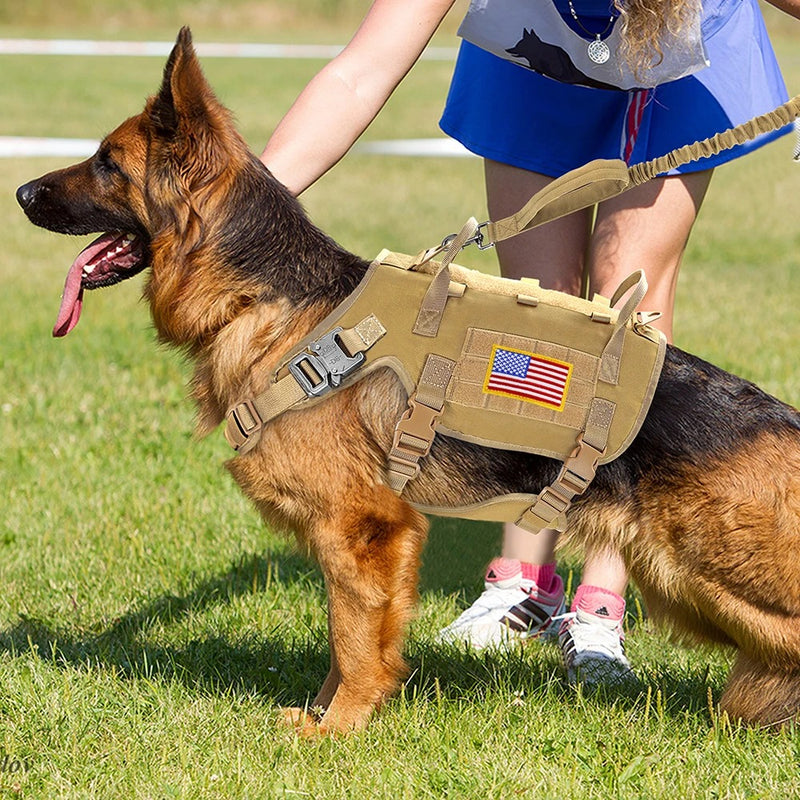 Gilet militaire pour chien - Gros-Chien.com