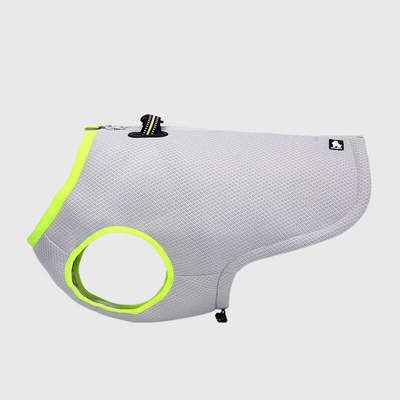 https://cdn.shopify.com/s/files/1/0763/9767/4819/files/Gilet_rafraichissant_pour_chien_jaune.png?v=1756230648