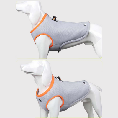https://cdn.shopify.com/s/files/1/0763/9767/4819/files/Gilet_rafraichissant_pour_chien_modele.png?v=1756230648
