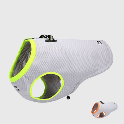 https://cdn.shopify.com/s/files/1/0763/9767/4819/files/Gilet_rafraichissant_pour_chien_modele_photo.png?v=1756230648