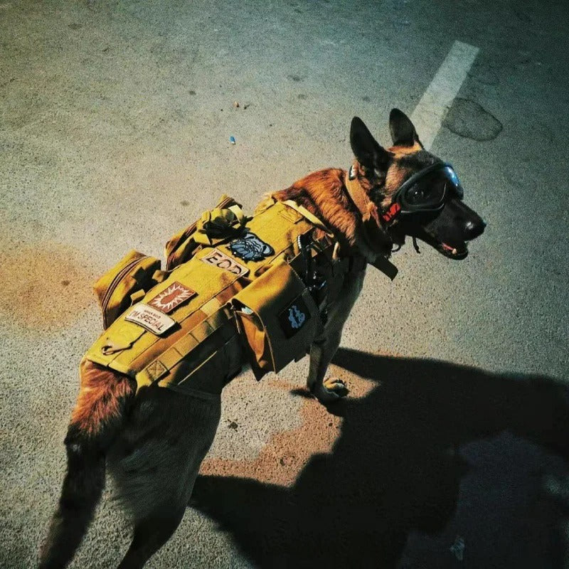 Gilet tactique pour chien - Gros-Chien.com