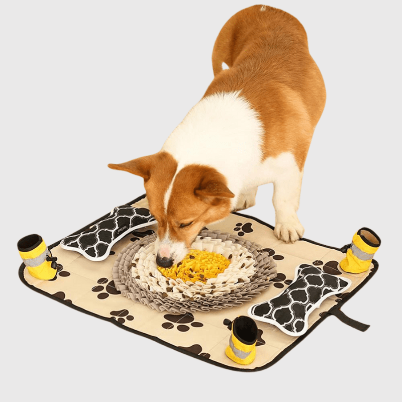 https://cdn.shopify.com/s/files/1/0763/9767/4819/files/Grand_tapis_de_fouille_chien.png?v=1748610383