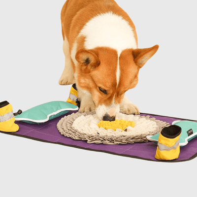 https://cdn.shopify.com/s/files/1/0763/9767/4819/files/Grand_tapis_de_fouille_chien_violet.png?v=1748610374