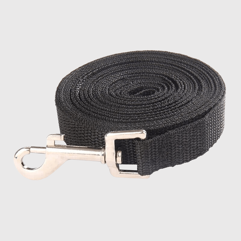 https://cdn.shopify.com/s/files/1/0763/9767/4819/files/Grosse_laisse_pour_chien.png?v=1728401165