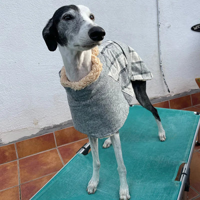 Veste Polaire Carreaux Gros Chien Ceinture