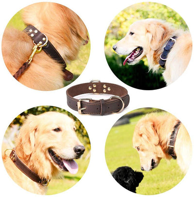 https://cdn.shopify.com/s/files/1/0763/9767/4819/files/H070063f79b7d462cb7ffa4aa2d2f8b600.jpg?v=1690986010