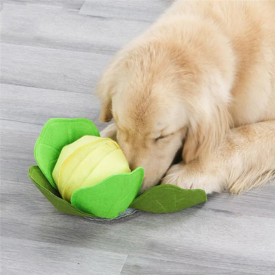 Tapis de Fouille Chou Vert Amovible pour Grand Chien