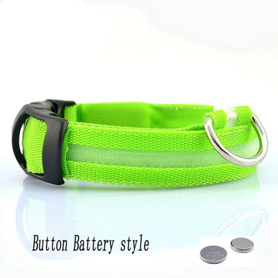 Collier Lumineux LED Étanche pour Chien