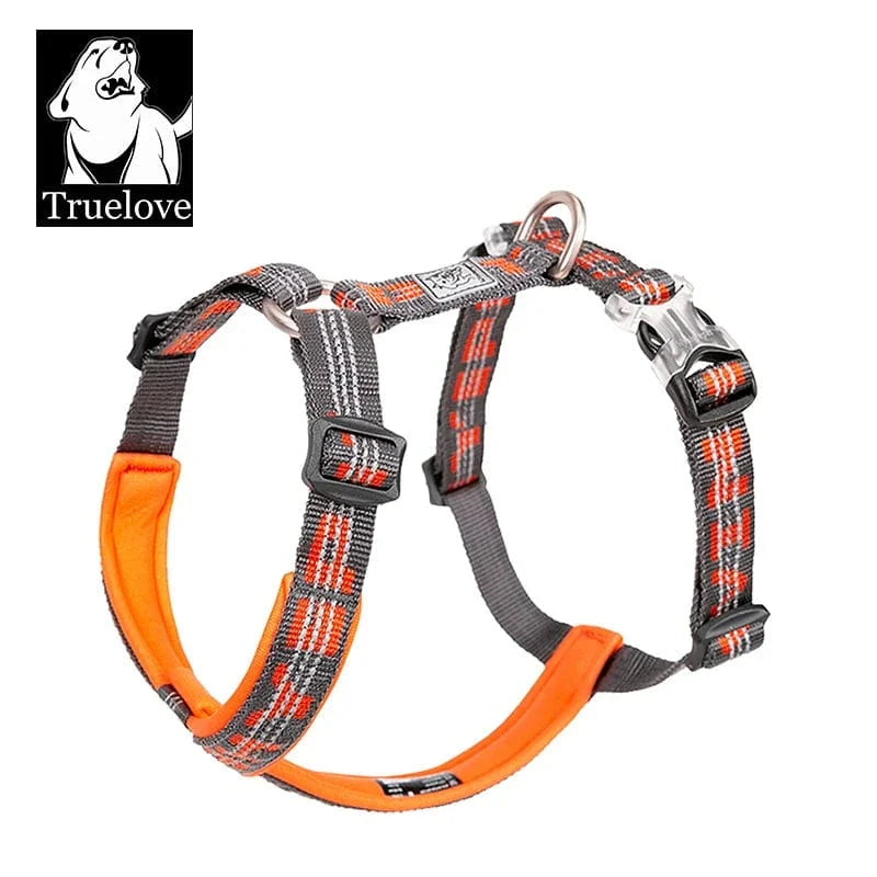 https://cdn.shopify.com/s/files/1/0489/2898/1148/files/H0b0b94c24d6240ec92038de8e5940f04A.webp?v=1742985571