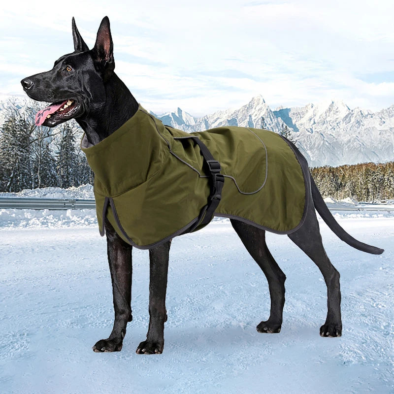 Manteau d'Hiver Imperméable Grand Chien Labrador Husky