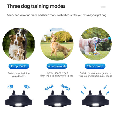 Collier Électrique de Dressage 1000 m Étanche Rechargeable Chien