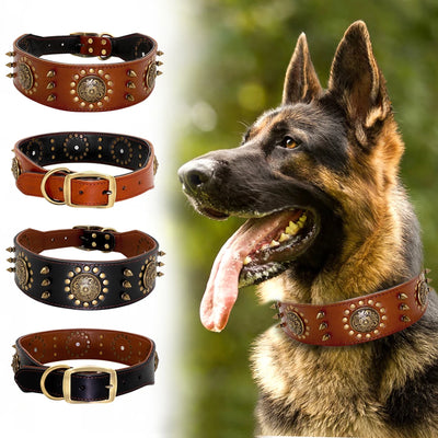 Collier Cuir Clouté Pointes Réglables Berger Allemand Pitbull