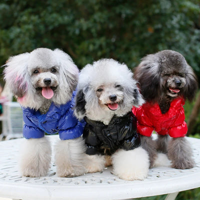 Manteau Combinaison Duvet pour Petit Chien à Capuche