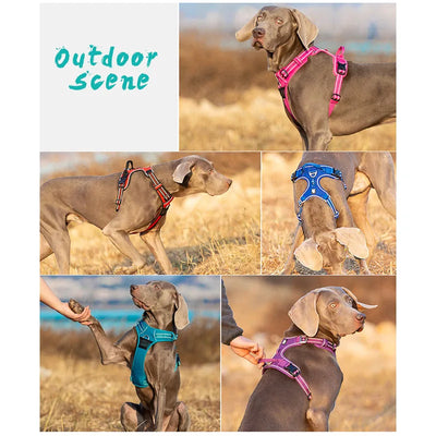 Harnais Anti-Traction Chien Clip Avant Réfléchissant 12 Coloris