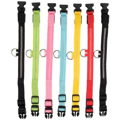 Collier Lumineux LED Étanche pour Chien