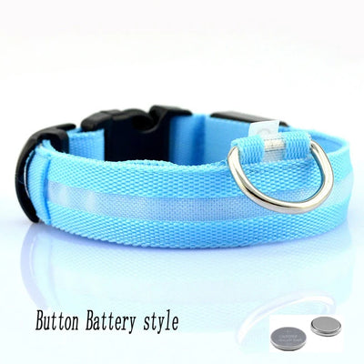 Collier Lumineux LED Étanche pour Chien