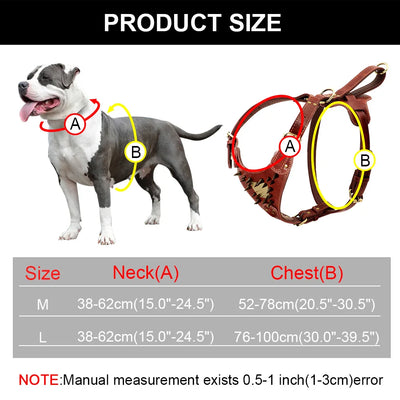 Collier Cuir Clouté Personnalisé Gros Chien Pitbull Mastiff