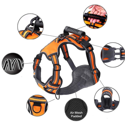 https://cdn.shopify.com/s/files/1/0763/9767/4819/files/H2ae54f8623cd40828fcd2d0227978b1fy.jpg?v=1749047810