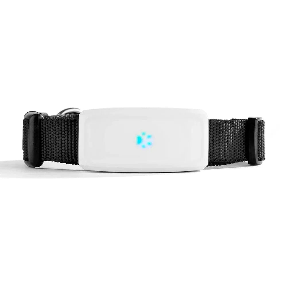 https://cdn.shopify.com/s/files/1/0489/2898/1148/files/H2cc196fe87ee4594a117b5623ccf3b8dF.webp?v=1755344196