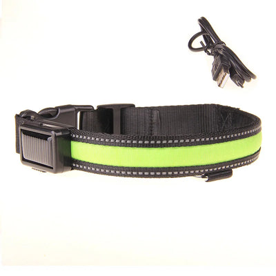 Collier Lumineux LED Solaire et USB Réfléchissant Chien
