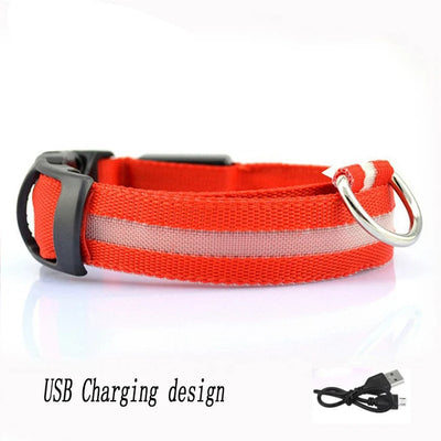 Collier Lumineux LED Étanche pour Chien