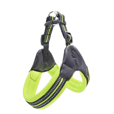 https://cdn.shopify.com/s/files/1/0489/2898/1148/files/H353445c3216945d7b3d9cedd55cab773z.webp?v=1742985661