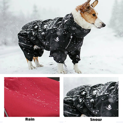 Manteau Imperméable Combinaison Intégrale Col Haut Border Collie