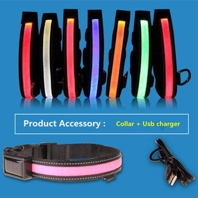 Collier Lumineux LED Solaire et USB Réfléchissant Chien