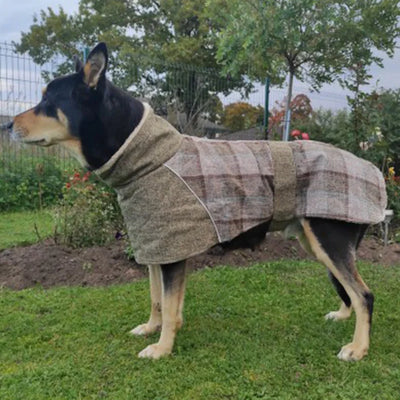 Veste Polaire Carreaux Gros Chien Ceinture