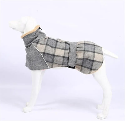 Manteau Carreaux Réfléchissant Hiver Gros Chien