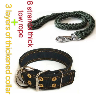 Collier et Laisse Nylon 5 cm Tressée Pitbull Gros Chien