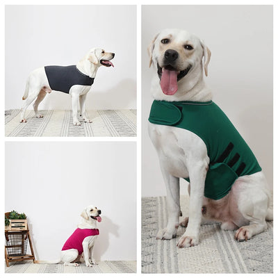 Vêtement Apaisant Anti-Anxiété Petit à Gros Chien 4,5 à 50 kg