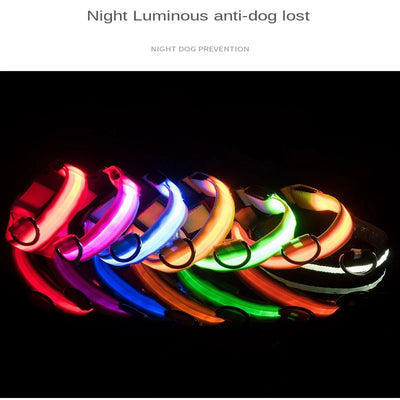 Collier Lumineux LED Étanche pour Chien