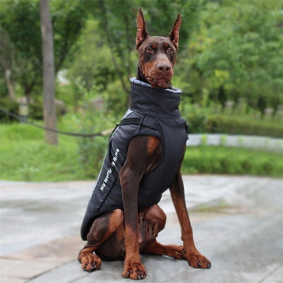 https://cdn.shopify.com/s/files/1/0763/9767/4819/files/H4e1000ba90e544ab8b5a5d1cc9d0ab37I.jpg?v=1764692405