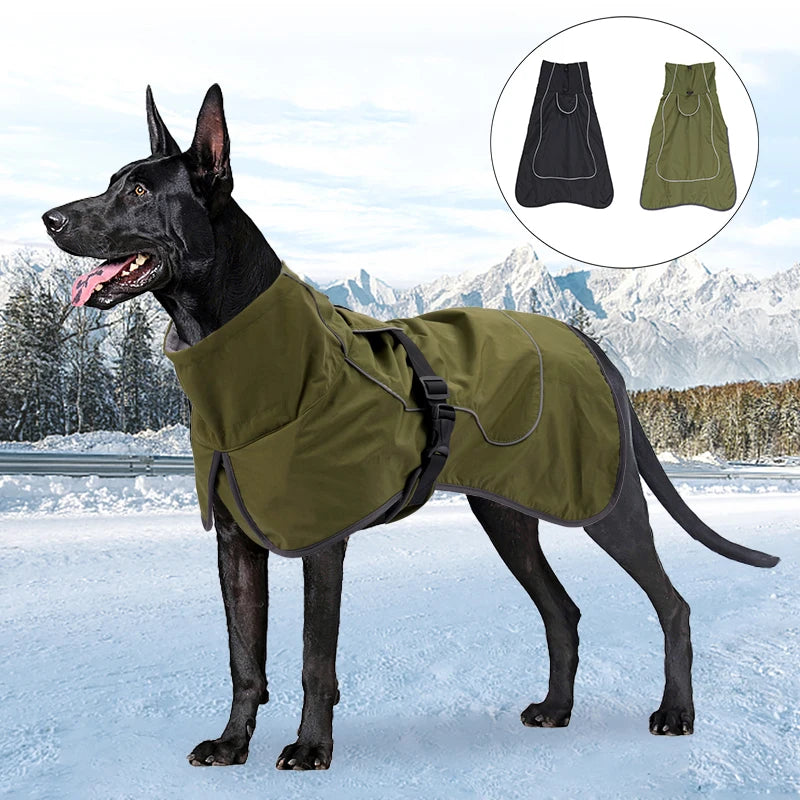 Veste Hiver Polaire Imperméable Gros Chien