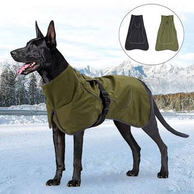 Veste Hiver Polaire Imperméable Gros Chien