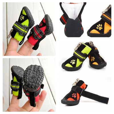 Bottes Imperméables Chien Golden Retriever Labrador