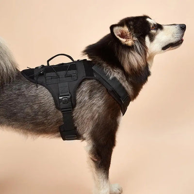 Harnais Tactique Molle Berger Allemand Malinois jusqu'à 65 kg