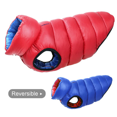 Manteau Imperméable Réversible 3 Couches Gros Chien