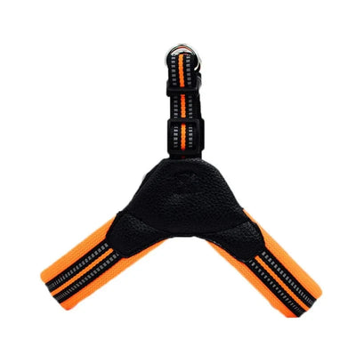https://cdn.shopify.com/s/files/1/0489/2898/1148/files/H62cdc1d11c1a4f188ea794e75070d145I.webp?v=1742985685