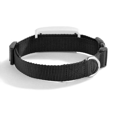 https://cdn.shopify.com/s/files/1/0489/2898/1148/files/H67ee0c8d765a4030a26a0e73ad56b99be.webp?v=1755344223