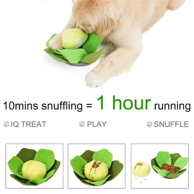 Tapis de Fouille Chou Vert Amovible pour Grand Chien