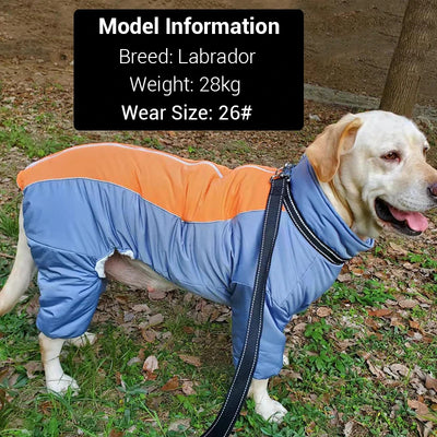 Manteau Imperméable Combinaison 4 Pattes Chien Zippée Labrador
