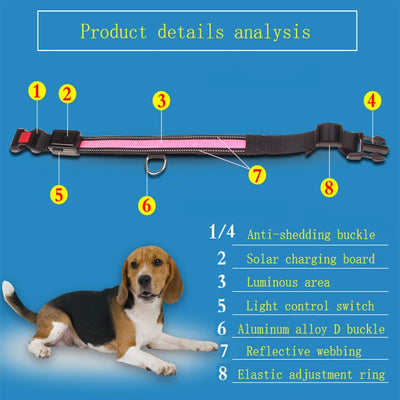 Collier Lumineux LED Solaire et USB Réfléchissant Chien