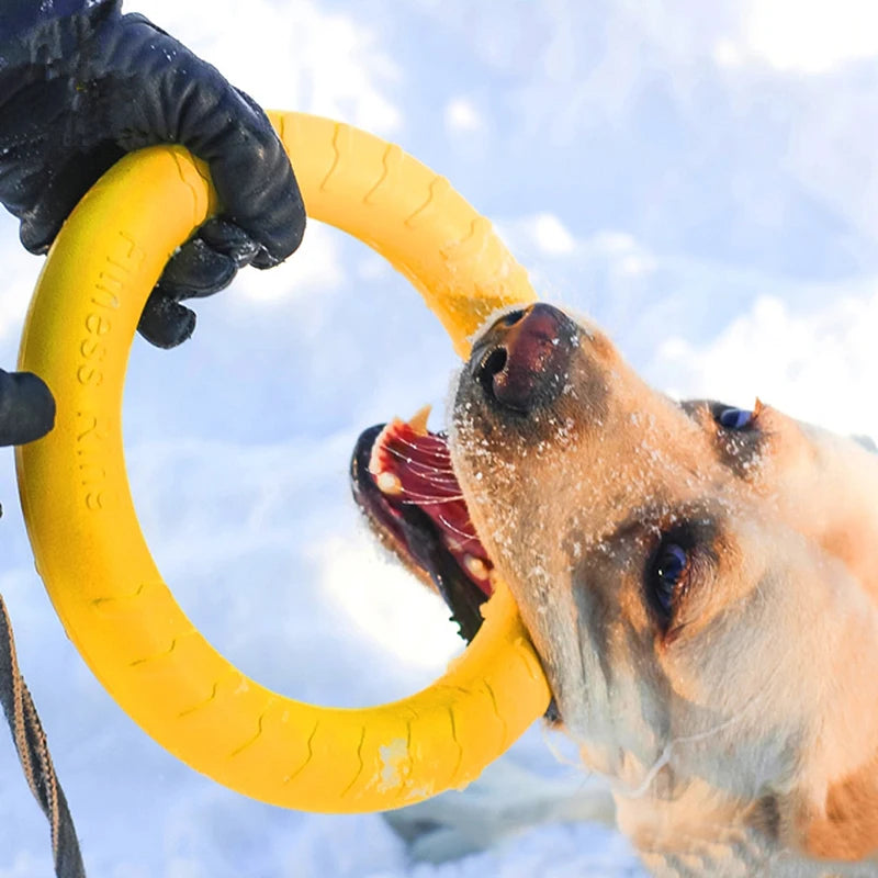 Jouet Anneau de Traction pour Chien Moyen et Grand